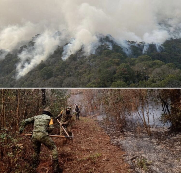 Asegura Gobtam que está bajo control 55 por ciento del incendio en «El Cielo»