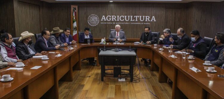 Inician negociaciones productores de cebada e industria cervecera