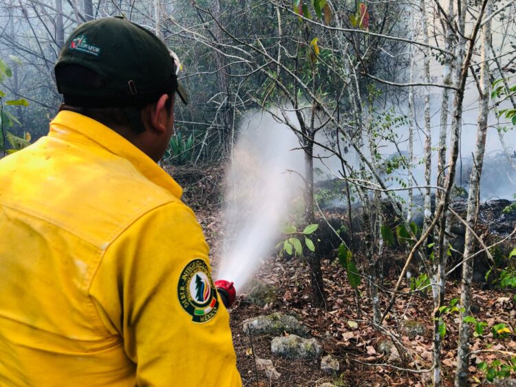 Van 710 hectáreas afectadas  por incendio en la Biósfera de El Cielo
