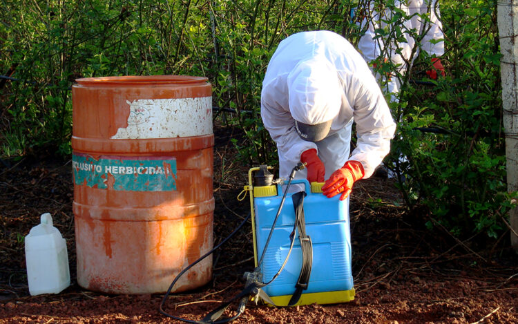 Avanzan México, Estados Unidos y Canadá en armonización de regulación de plaguicidas agrícolas