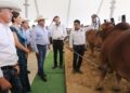 Recibe Tamaulipas a criadores de ganado Cebú de todo el país