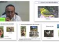 Analiza UAT el impacto del cambio climático en especies de aves