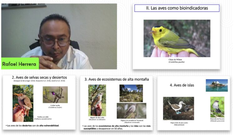 Analiza UAT el impacto del cambio climático en especies de aves