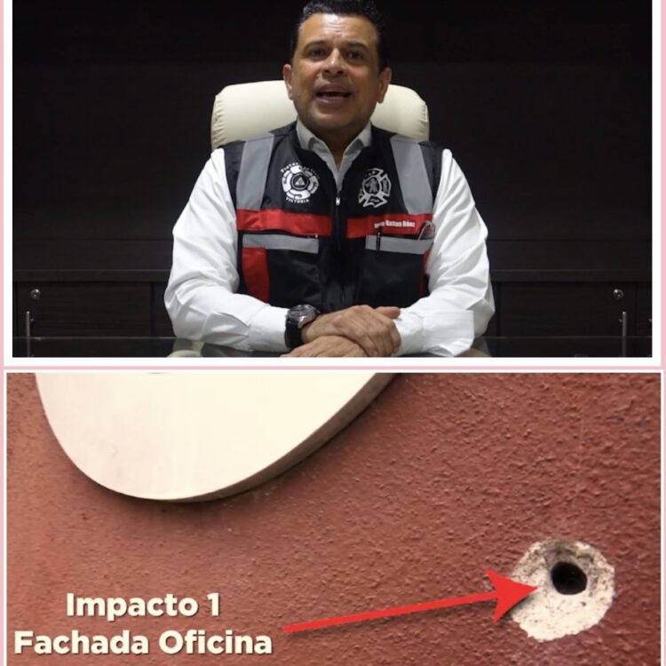 Denunciará Gattás oficina balaceada