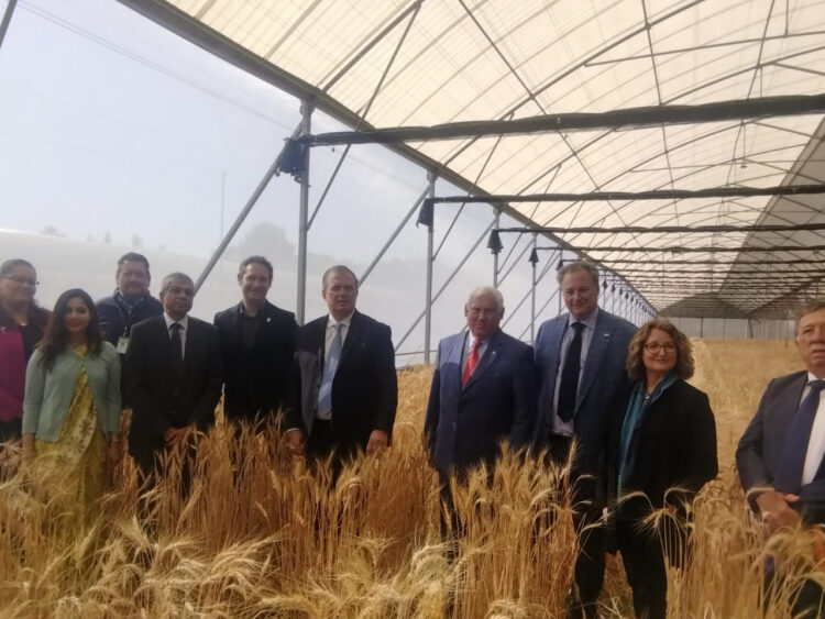 Alianzas fortalecen la seguridad alimentaria