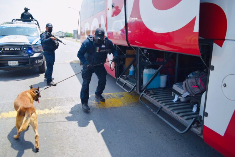 Continúa estrategia contra migrantes indocumentados en Tamaulipas