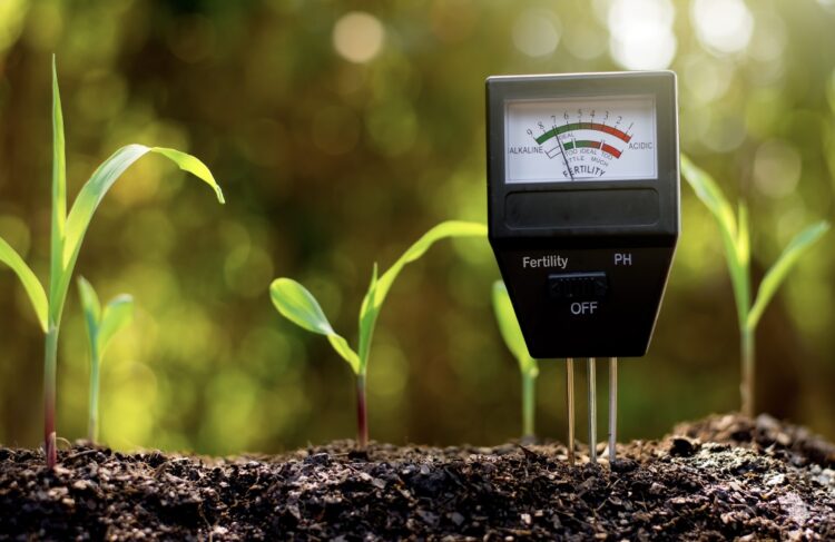 Lanza Bayer segunda etapa de su Experiencia Fruturista para producir más alimentos con menos recursos