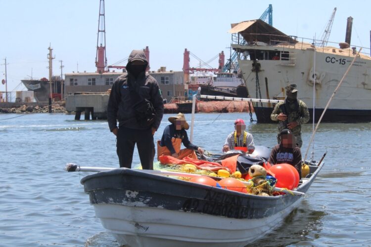 Autoridades federales aseguran embarcación con producto pesquero en veda