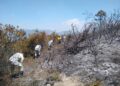 En Nuevo León, Guardia Nacional activa Plan para combatir incendio forestal