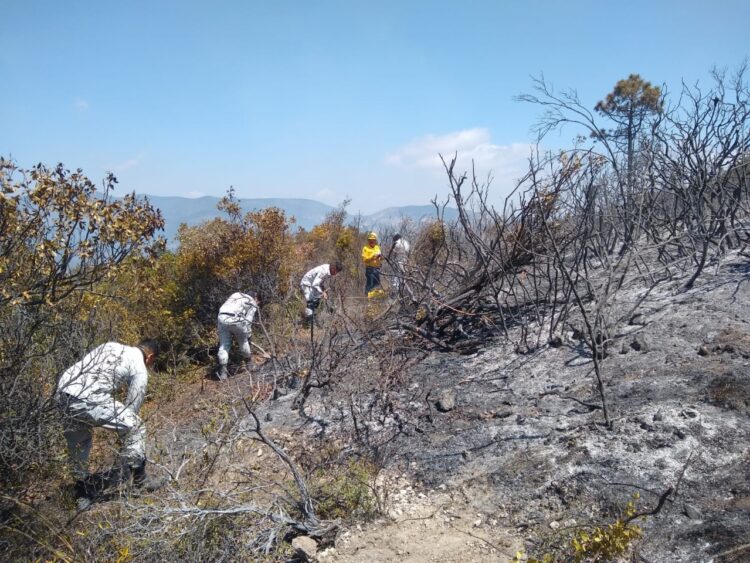 En Nuevo León, Guardia Nacional activa Plan para combatir incendio forestal