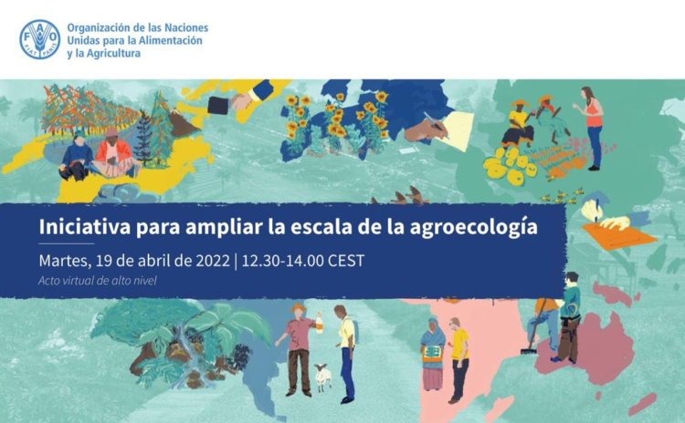 Impulsa Agricultura ante la FAO el Fomento de la agroecología