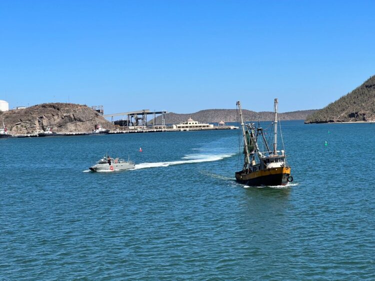 Aseguran en Sonora, embarcación con producto marino en temporada de veda