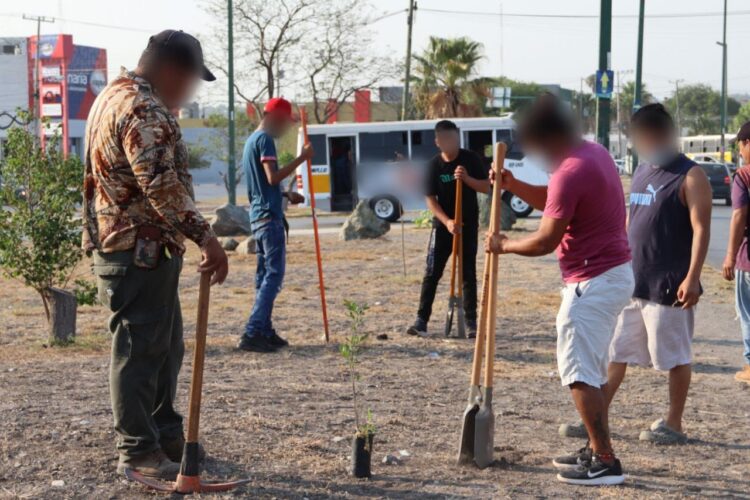 Realizan trabajo en pro de la sociedad, jóvenes vinculados a un delito