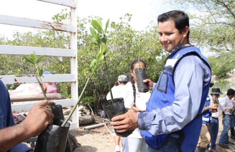 Contribuye Tamaulipas con Programa de Recuperación de Ecosistemas de Manglar.