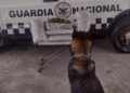 Detecta Guardia Nacional paquetes de marihuana en seis estados del país