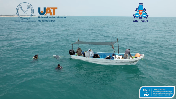 Descubre la UAT sistema arrecifal en costas de Tamaulipas