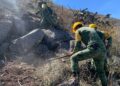 Personal del Ejército busca sofocar incendio forestal en Jaumave