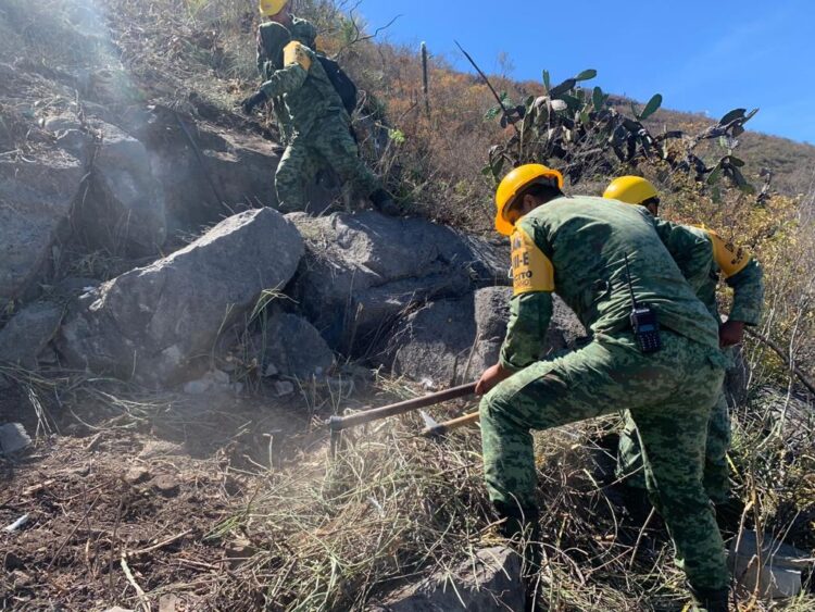 Personal del Ejército busca sofocar incendio forestal en Jaumave