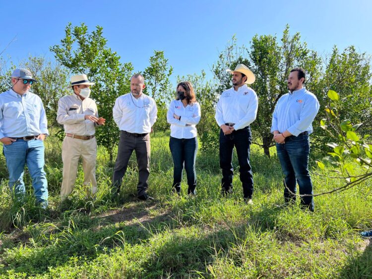Fortalece la UAT su vinculación con productores citrícolas del estado