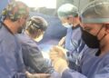 Logra IMSS Nuevo León trasplantar 12 órganos, en tan solo cuatro días