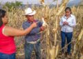 Ante sequía, apoya Agricultura a productores del Distrito de Riego 025 Río Bravo