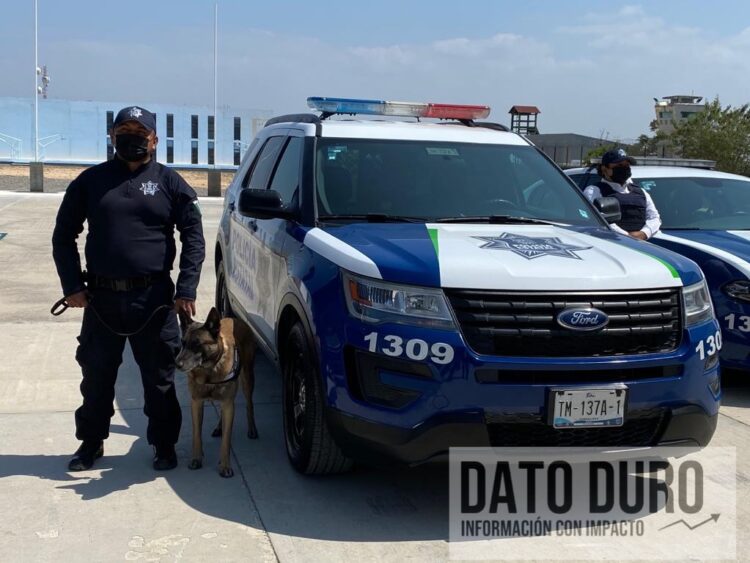 Por irregularidades, 865 policías en Tamaulipas han causado baja