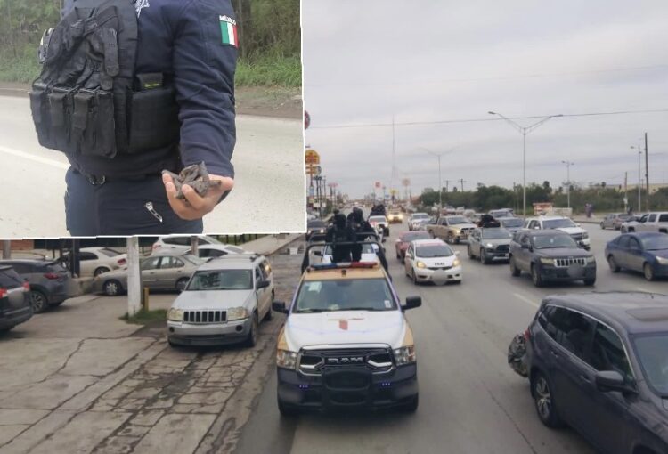 Tras reporte de armados, Guardia Estatal retira “ponchallantas” en Matamoros