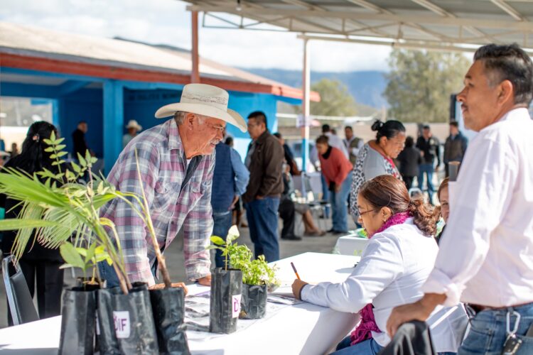 Va DIF Tamaulipas por personas vulnerables casa por casa en los 43 municipios
