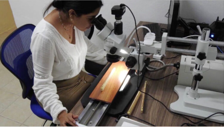 Incrementa UAT ingreso de docentes al Sistema Nacional de Investigadores