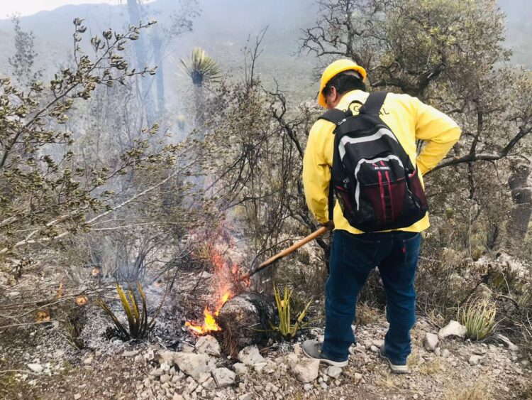 Apoya Protección Civil de Tamaulipas en control de incendio forestal en Bustamante