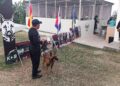 Binomio canino participó en Diplomado Nacional para Perros Multipropósito  