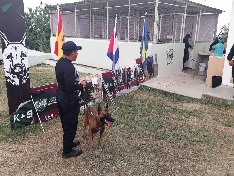 Binomio canino participó en Diplomado Nacional para Perros Multipropósito  