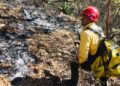 Controlan 70 por ciento de incendio forestal en Miquihuana