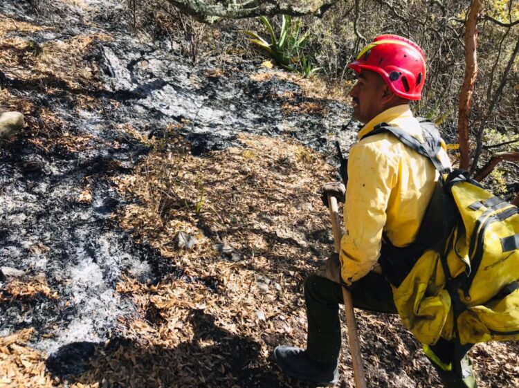 Controlan 70 por ciento de incendio forestal en Miquihuana