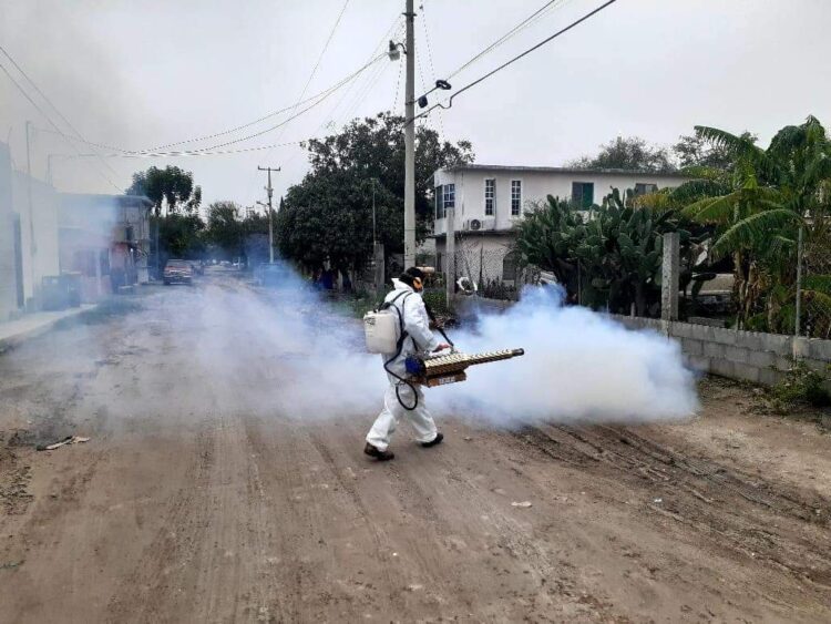 Adelantará Salud Tamaulipas programa contra el dengue, por condiciones climatológicas