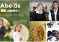 Exploran potencial terapéutico y biotecnológico de abejas sin aguijón