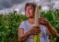Contribuye trabajo de las mujeres en el campo a la seguridad alimentaria de México