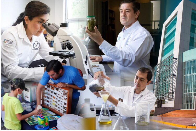 Incrementa UAT ingreso de sus docentes en el Sistema Nacional de Investigadores