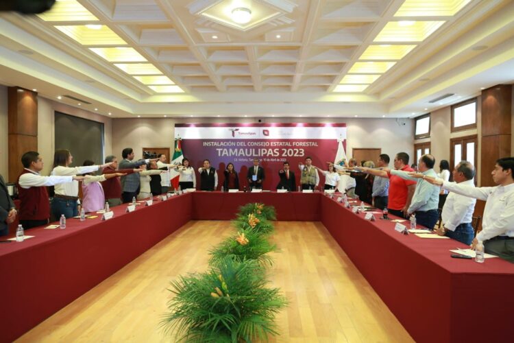 Va Américo Villarreal por mayor producción forestal en Tamaulipas