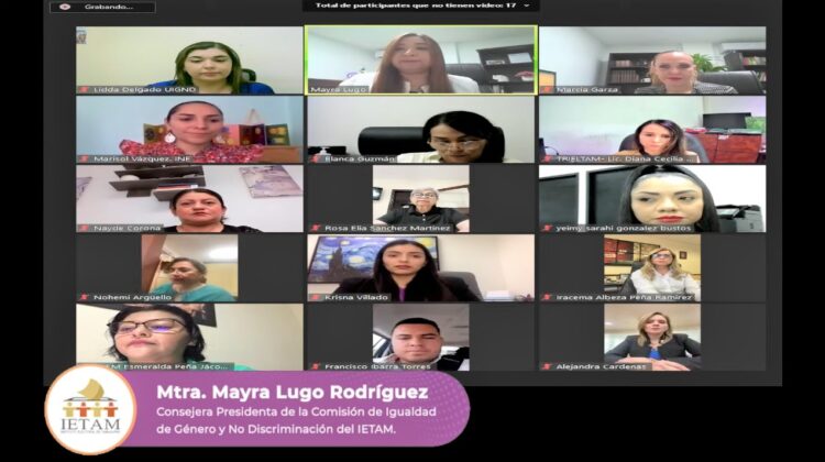 ¿Cómo identificar la violencia política en el ejercicio del cargo?