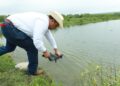 Inicia Secretaría de Pesca reproducción de bagre de canal