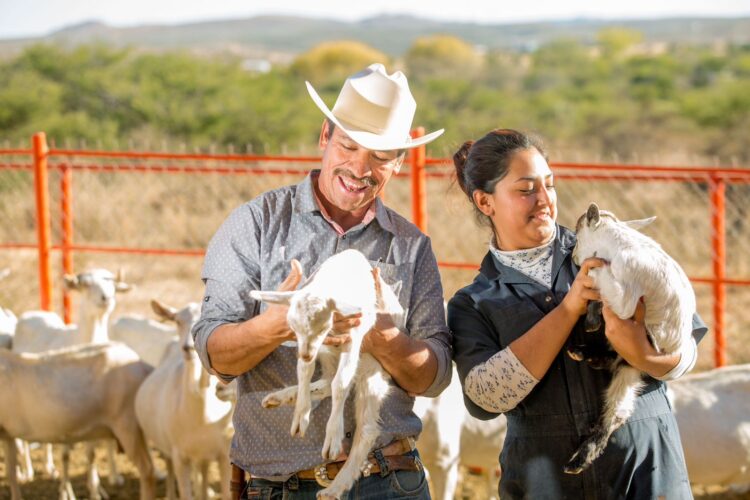 Crece más de 2.0 por ciento producción pecuaria nacional al cierre de 2022