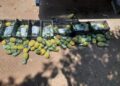 Interceptan cargamento de cocaína oculto entre rejillas de fruta