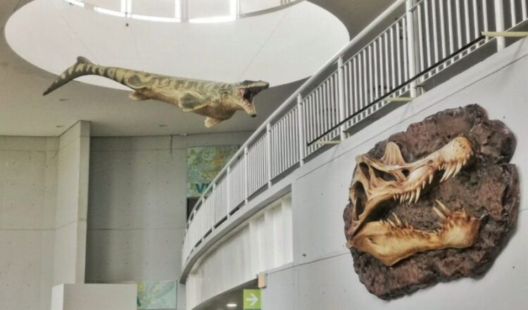 Cuenta Tamaulipas con 20 museos