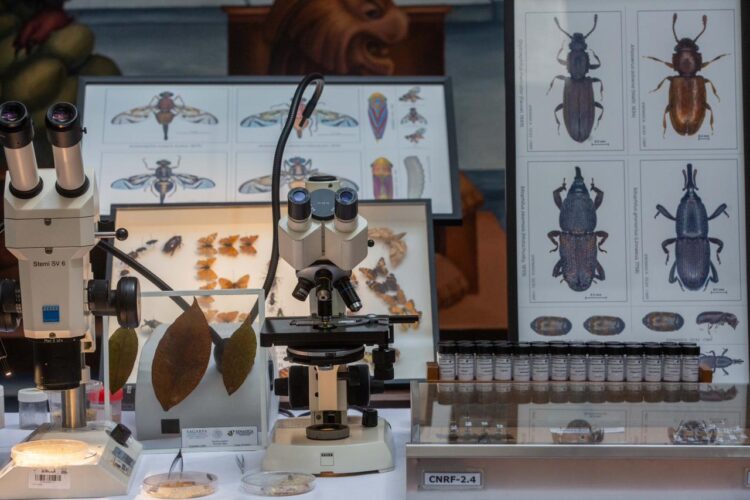 México libre de mil plagas y enfermedades que afectan a plantas