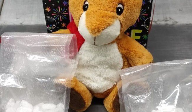 Aseguran figura de peluche rellena con bolsas de cristal