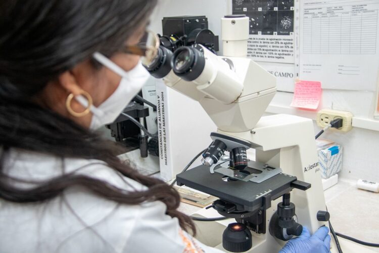 Analizan bacteria que afecta a perros y puede trasmitirse al humano