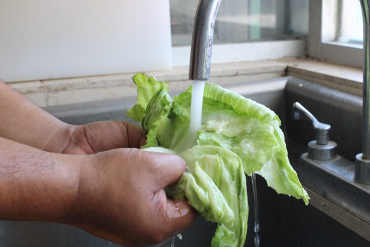 Durante época de calor es vital maximizar medidas de higiene en alimentos