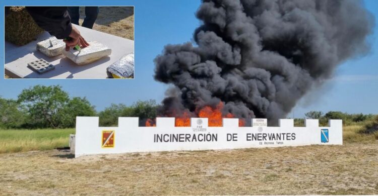 Incineran 1.8 toneladas de narcóticos en Tamaulipas