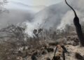 Atiende Protección Civil Tamaulipas dos incendios forestales en Jaumave